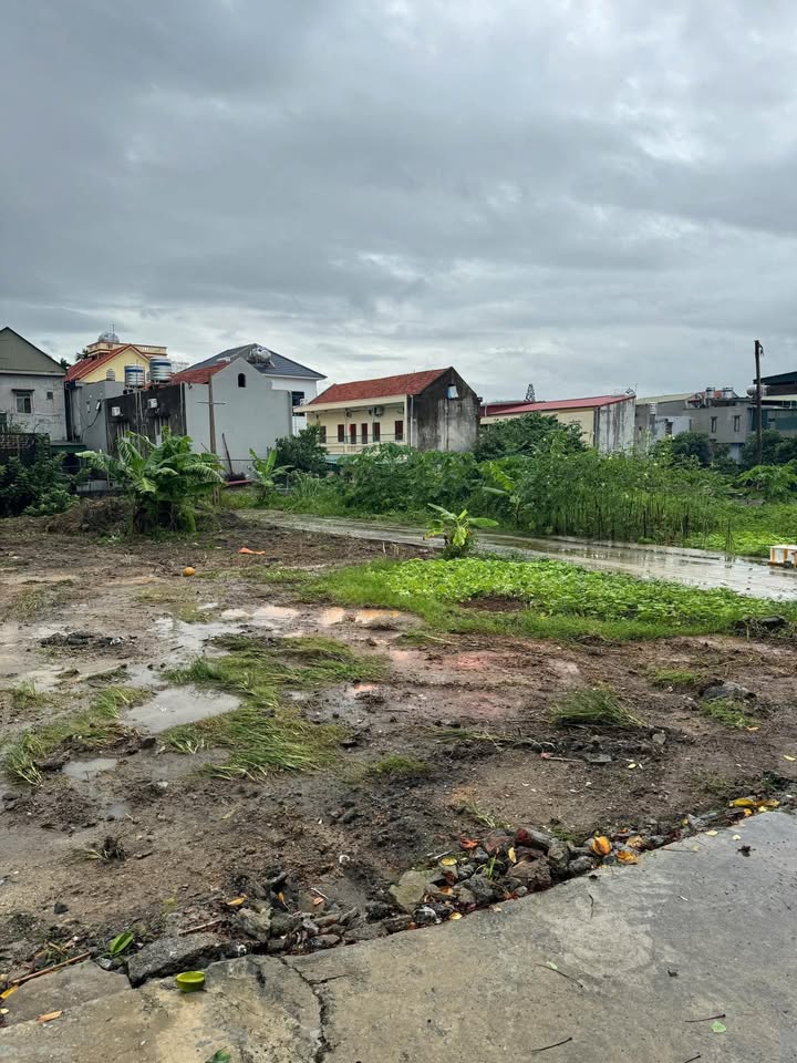 Đất nền Nam Khê Uông Bí 433m² - Đường ô tô vào tận đất, cơ hội đầu tư hấp dẫn!