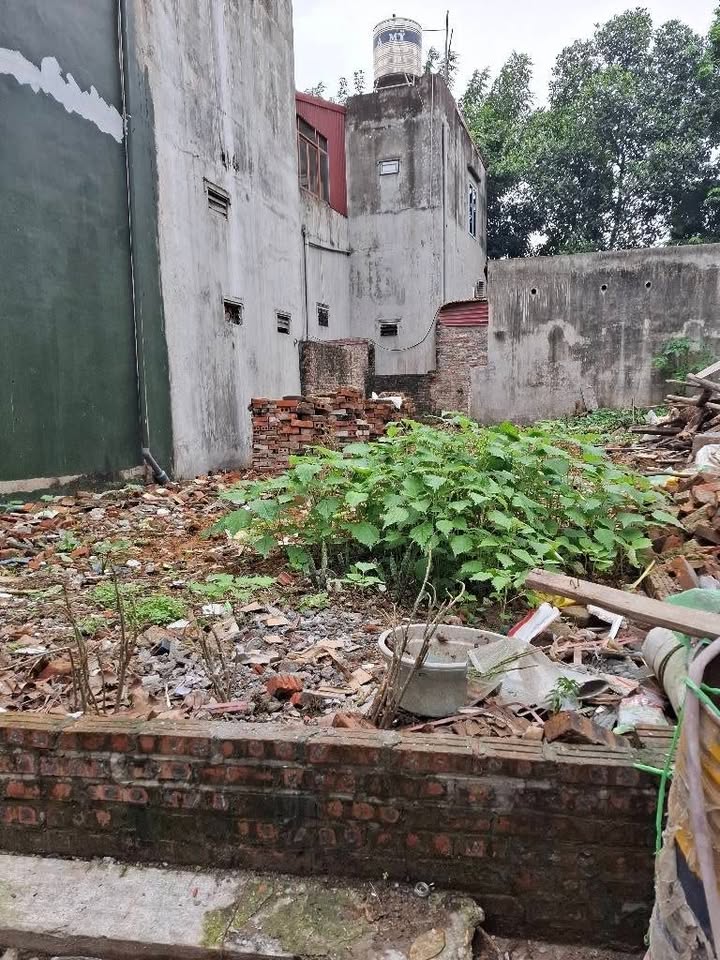 Đất Cổ Loa Đông Anh 74.7m² giá 4 tỷ - Sổ đỏ chính chủ, đầu tư sinh lời!