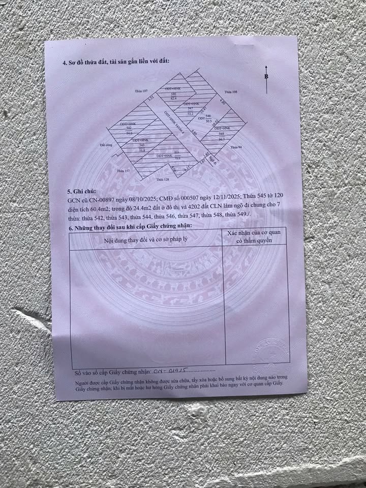 Lô đất Tân Hưng, Tứ Kỳ 50.3m² giá 600 triệu - Đầu tư sinh lời ngay!