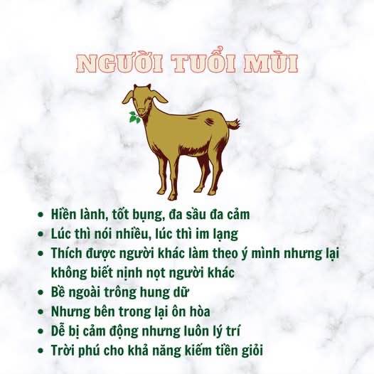 Đất thổ cư 1000m² tại ấp 8 Tân Thành, Đồng Xoài - Giá chỉ 650 triệu!