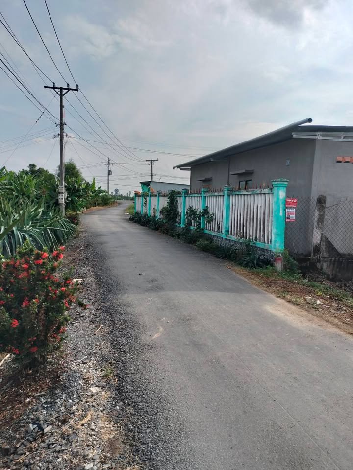 Lô đất 215m² tại Đồng Sơn, Gò Công Tây chỉ 380 triệu - Cơ hội đầu tư hấp dẫn!