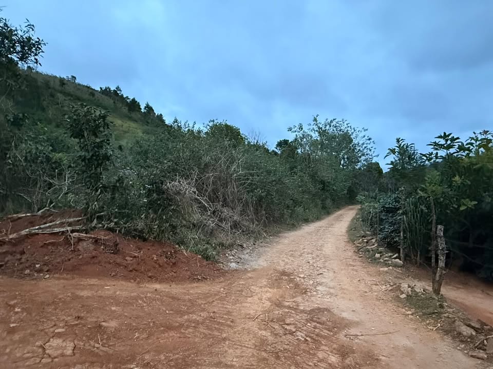 Đất nền 2 mặt tiền đường tại Langbiang, Đà Lạt 4267m² giá 4.45 tỷ - Đầu tư sinh lời ngay!