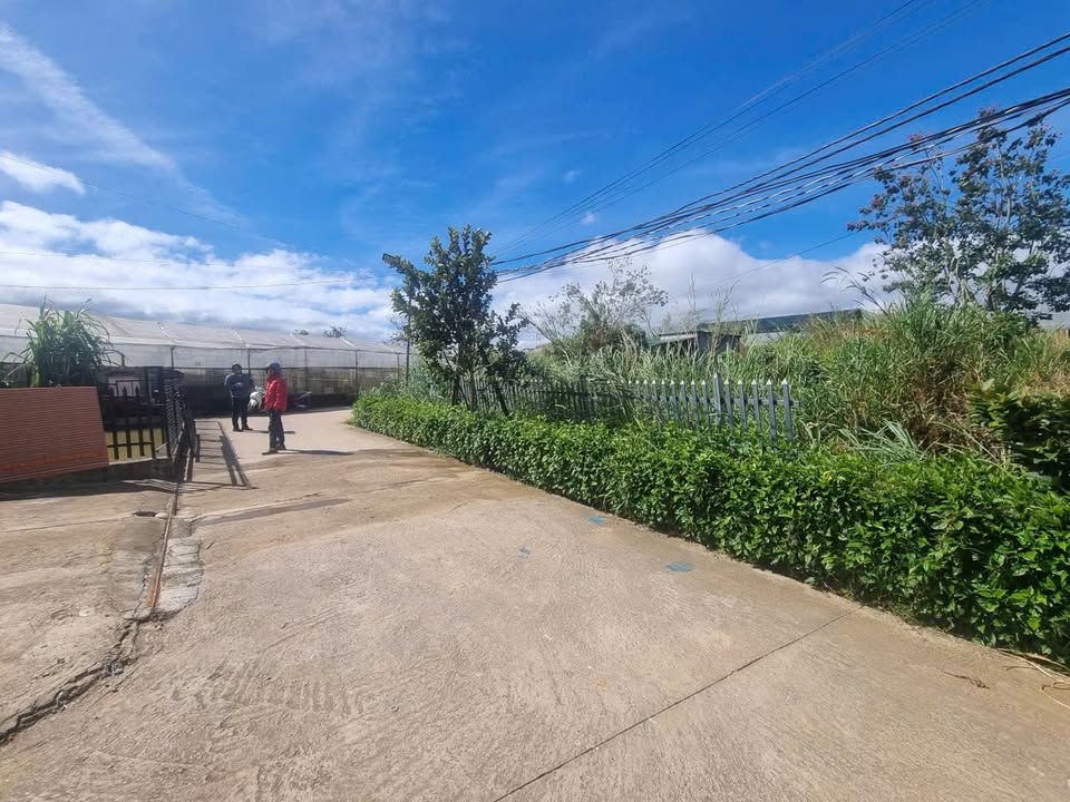 Đất nền đường Nguyên Tử Lực, Đà Lạt 136m² giá 850 triệu - Cơ hội đầu tư tuyệt vời!