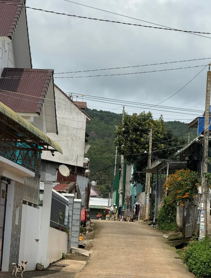 Đất nền Hiệp Thạnh – Đức Trọng 552m² giá 3.2 tỷ - Đầu tư sinh lời ngay!