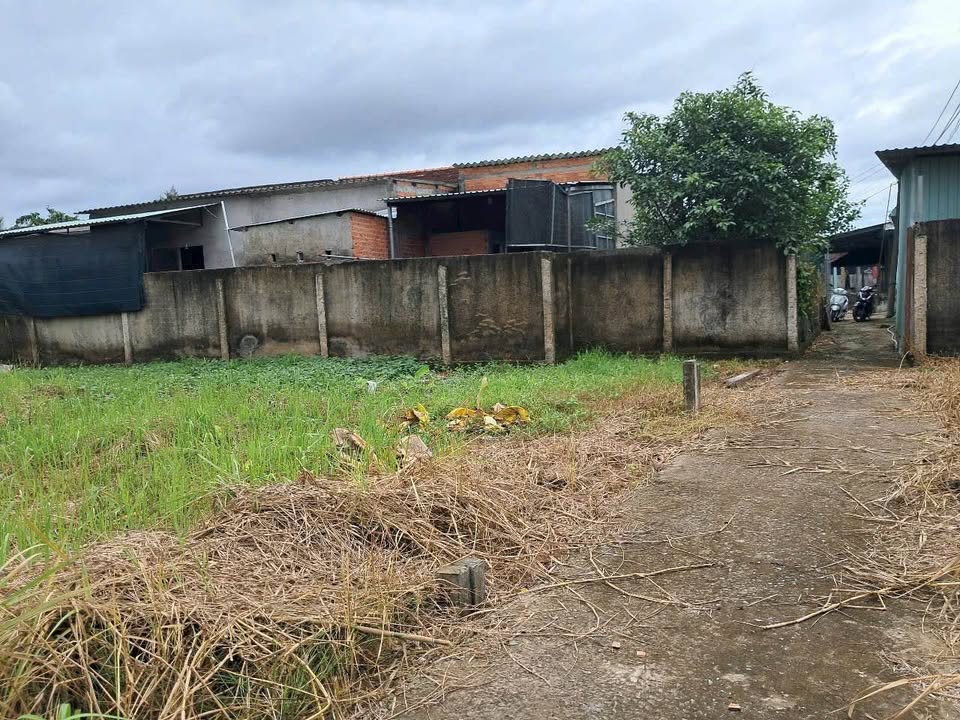 Bán đất thổ cư Khánh Hậu, Tân An 529m² - Vị trí đẹp, giá hấp dẫn!