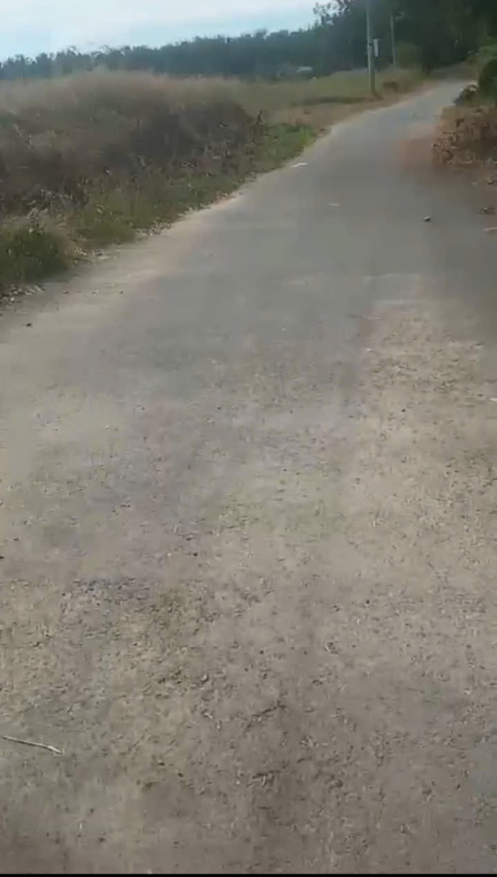 Đất nền Phước Đông Gò Dầu 105m² giá 300 triệu - Vị trí đắc địa gần KCN