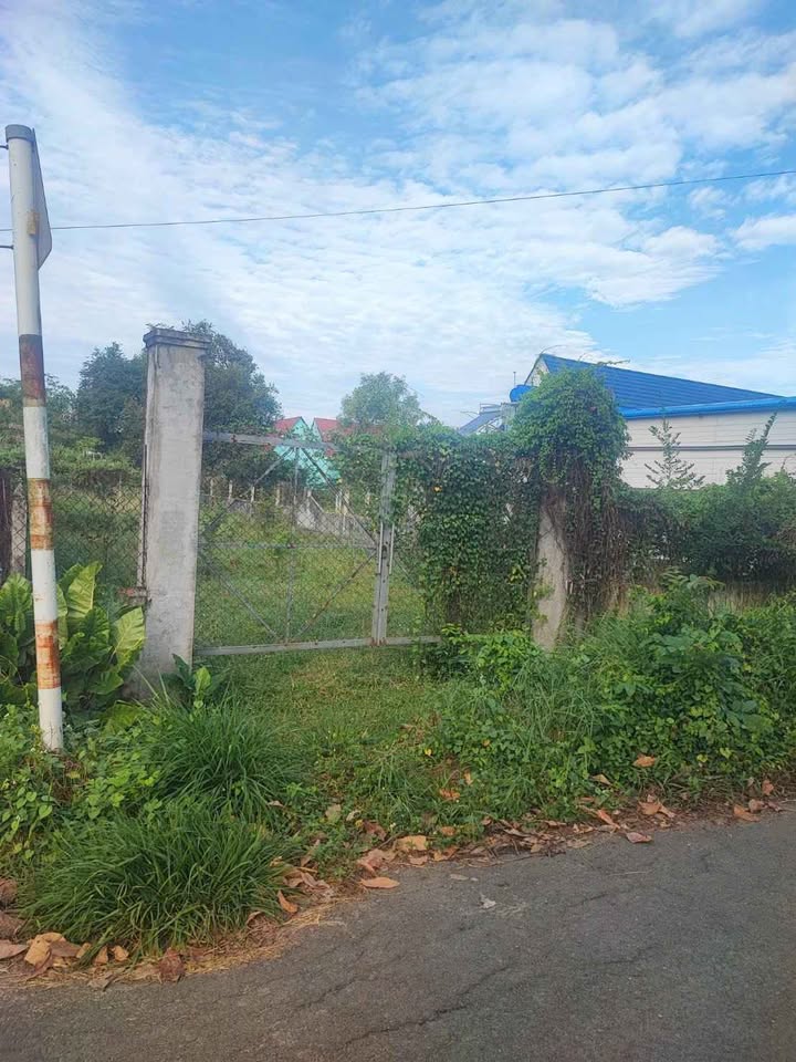 Đất thổ cư Thái Mỹ Củ Chi 407m² giá 2.9 tỷ - Đầu tư sinh lời ngay!