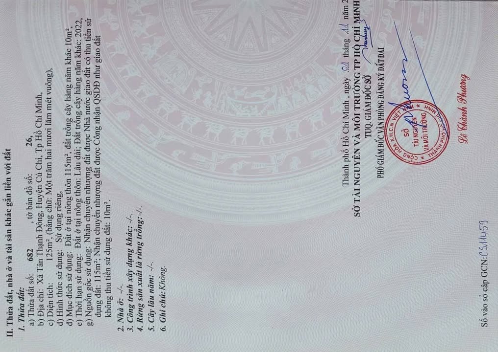 Đất nền Củ Chi 125m² giá 2.8 tỷ - Mặt tiền đường nhựa kinh doanh sầm uất!