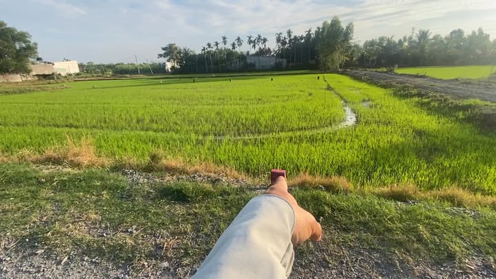 Đất nền Hòa Khánh Đông, Đức Hòa, Long An 120m² giá chỉ 620 triệu - Sổ đỏ chính chủ!