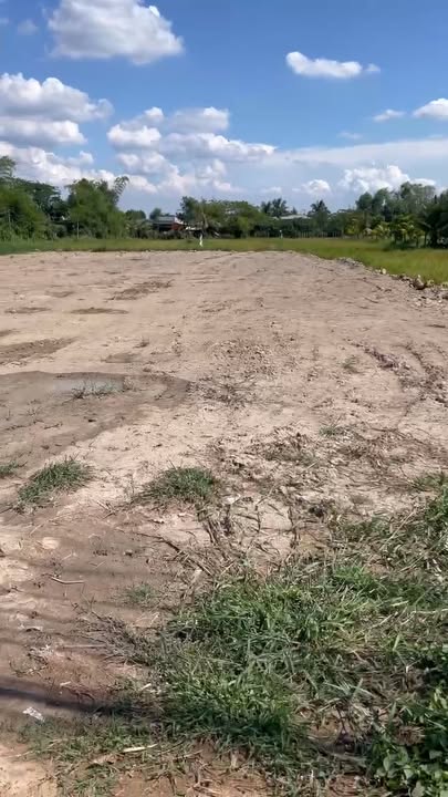 Đất nền Bàu Trai, Đức Hòa, Long An 1000m² - Sổ hồng chính chủ, thổ cư 100%!