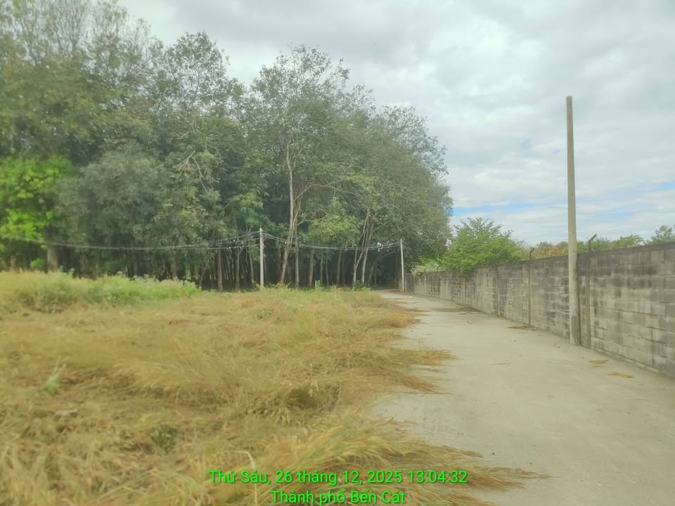 Đất nền Bàu Bàng 95m² giá 800 triệu - Đầu tư sinh lời hấp dẫn!