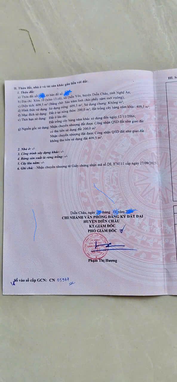 Đất Diễn Yên 600m² - Đầu tư phân lô sinh lời, đường ô tô tránh nhau!