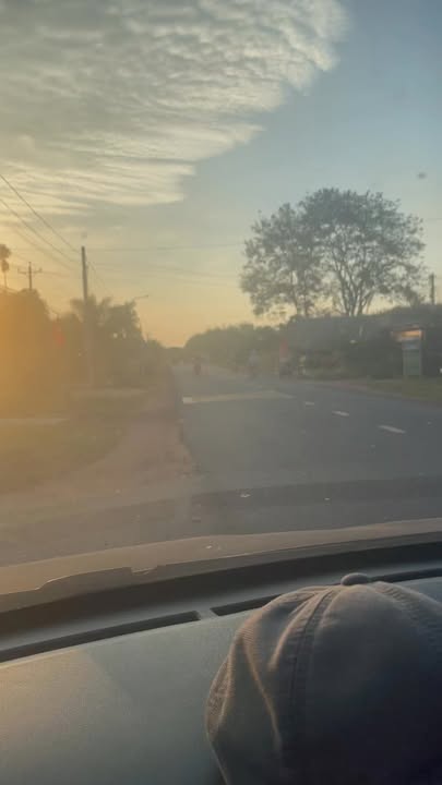 Đất nền Dầu Tiếng Bình Dương 50m² giá 550 triệu - Mặt tiền nhựa thuận lợi!