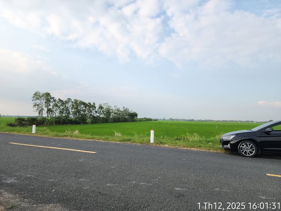 Đất mặt tiền Tỉnh Lộ 934B, Liêu Tú, 2565m² - Giá tốt, cơ hội đầu tư!