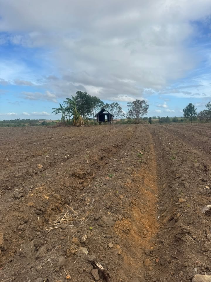 Đất nền Ea Súp Đắk Lắk 6.7ha giá chỉ 110 triệu - Cơ hội đầu tư tuyệt vời!