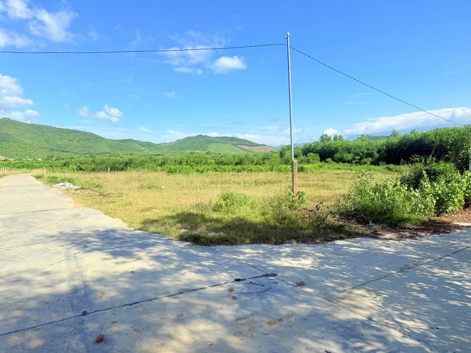 Đất thổ cư Ninh Tân Ninh Hòa 6400m² giá 12 tỷ - Lô góc 2 mặt tiền hấp dẫn!