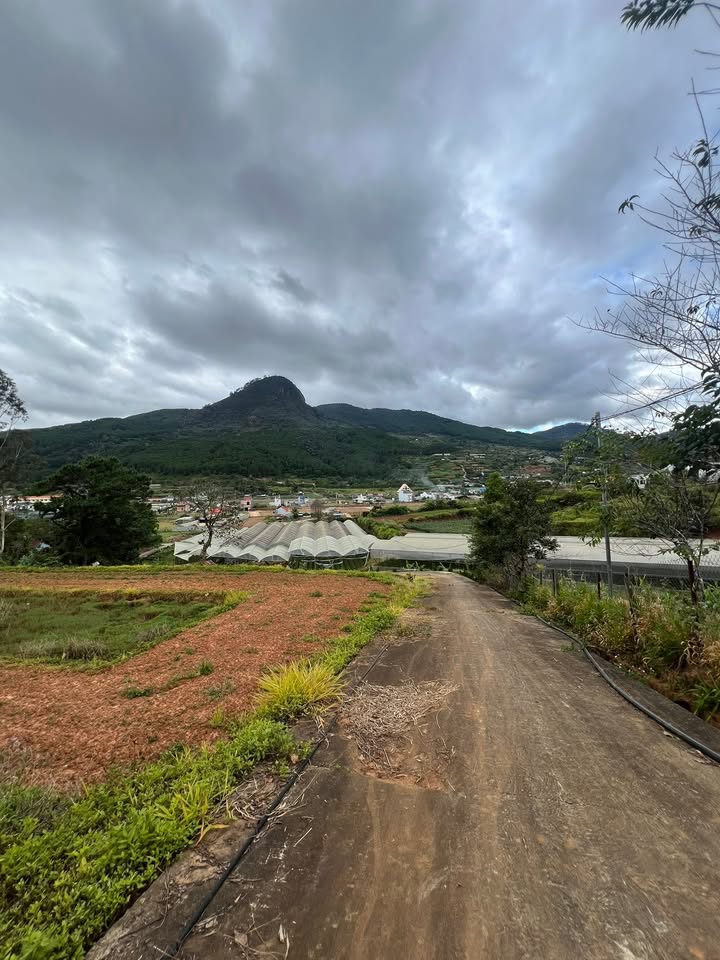 Đất đầu tư Hiệp An Đức Trọng 2250m² giá 7.9 tỷ - Sổ đỏ chính chủ, view núi đẹp