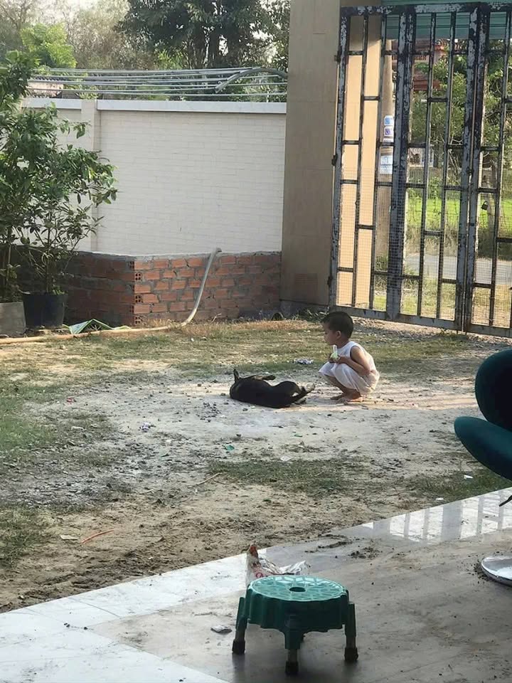 Đất nền Củ Chi 2.612m² giá 12.5 tỷ - Mặt tiền đường nhựa rộng rãi!