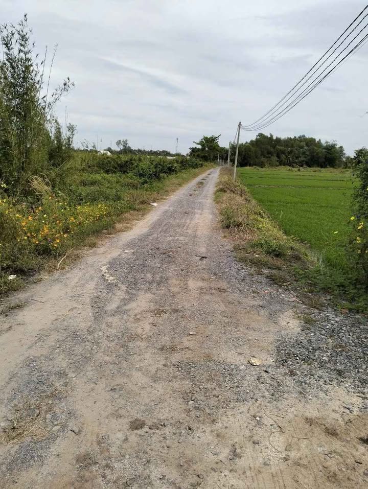 Bán nhà vườn xã Thái Mỹ Củ Chi 5300m² - Vườn cây ăn trái, ao cá tuyệt đẹp!