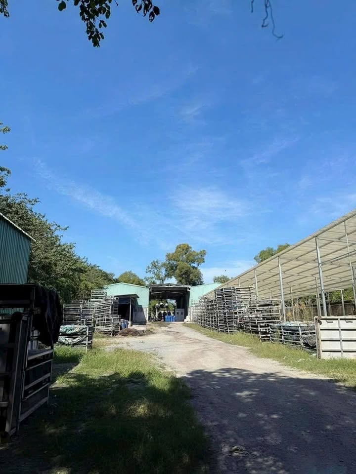 Đất mặt tiền đường Bến Đình, Củ Chi 3.417m² giá 25 tỷ - Cơ hội đầu tư tuyệt vời!