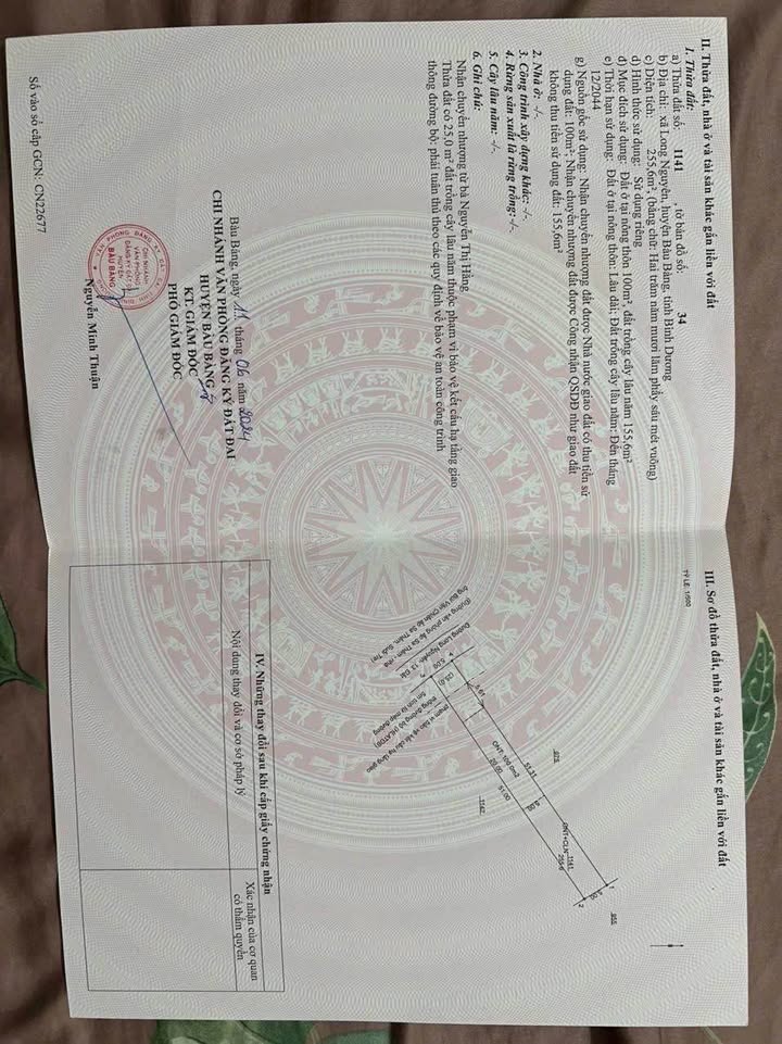 Đất nền Long Nguyên, Bàu Bàng 250m² giá 600 triệu - Cơ hội đầu tư tuyệt vời!