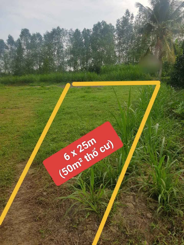 Đất nền xã Hòa Hiệp - Tam Bình 149m² giá 255 triệu - Cơ hội đầu tư tuyệt vời!