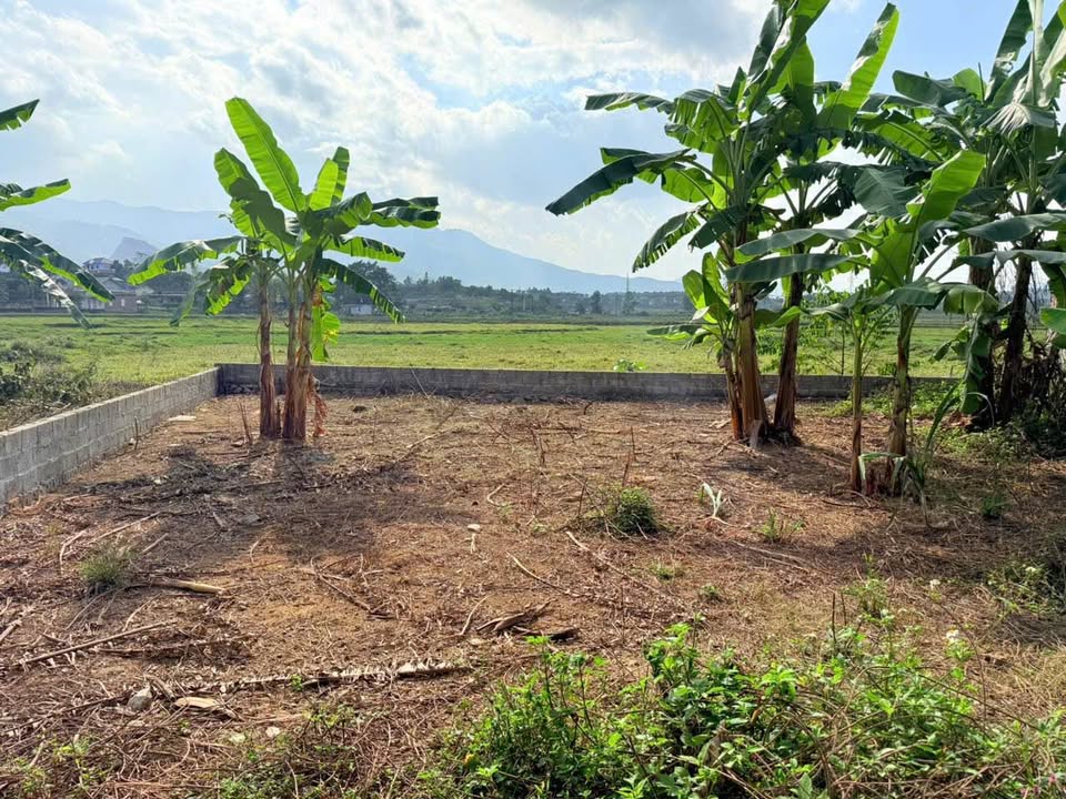 Đất nền Nhuận Trạch Lương Sơn 213m² - Cơ hội đầu tư sinh lời cao!