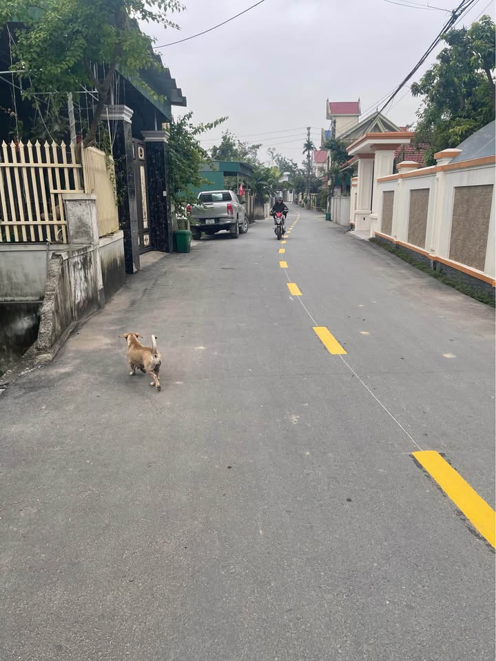 Nhà cho thuê chính chủ tại Nam Đàn - Diện tích rộng rãi, giá thỏa thuận!