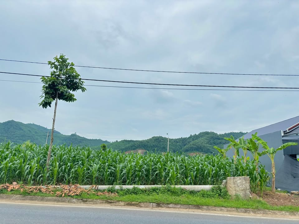 Đất nền An Tiến, Sơn Hải, Bảo Thắng 150m² giá 890 triệu - Cơ hội đầu tư tuyệt vời!