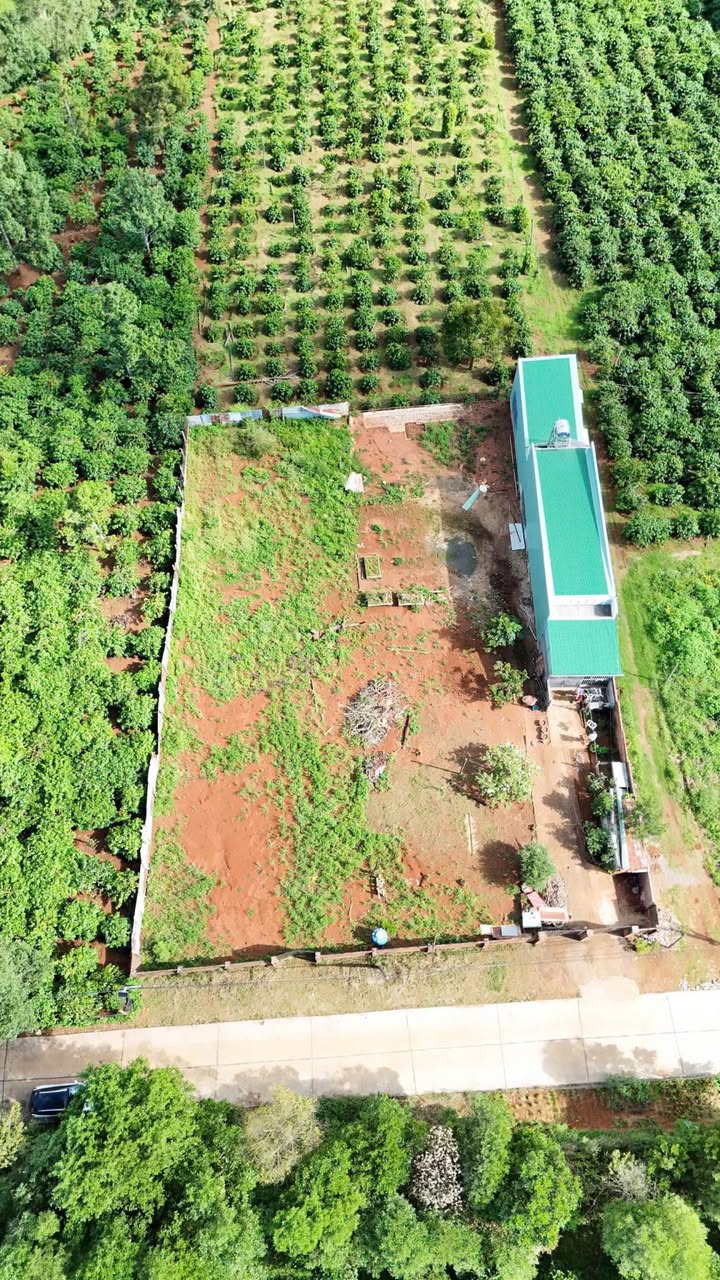 Đất nền Phường Diên Hồng - 250m² giá 750 triệu - View đẹp cho nhà vườn lý tưởng