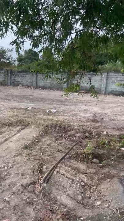 Đất nền Lộc An, Đất Đỏ 250m² giá 630 triệu - Cơ hội đầu tư sinh lời cao!