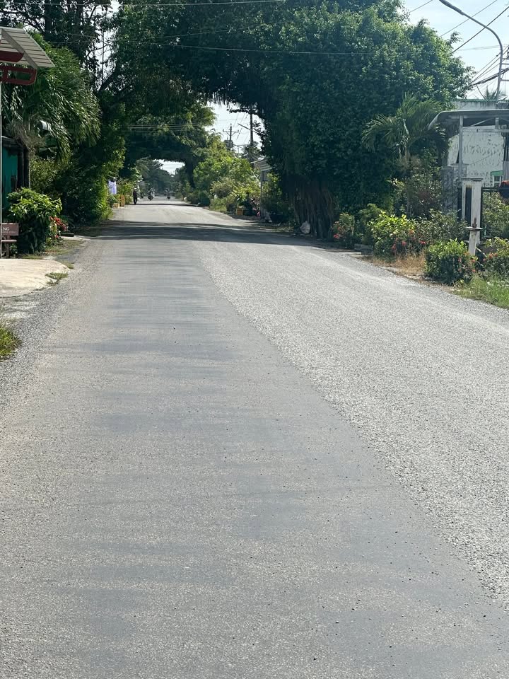 Đất nền 216m² tại tỉnh lộ 979, Hòa Bình, Bạc Liêu - Cơ hội đầu tư hấp dẫn!