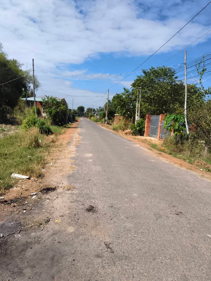 Nhà cấp 4 và phòng trọ Thạnh Đông Tân Châu 130m² giá 450 triệu - Cần bán nhanh!