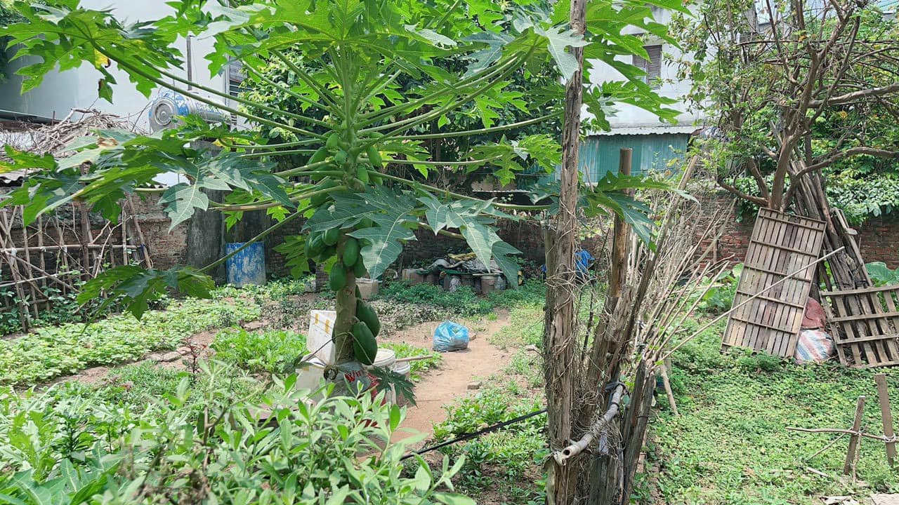 Đất nền Ngọc Thụy Long Biên 155m² giá 8.2 tỷ - Phong thuỷ tốt, mặt tiền rộng!