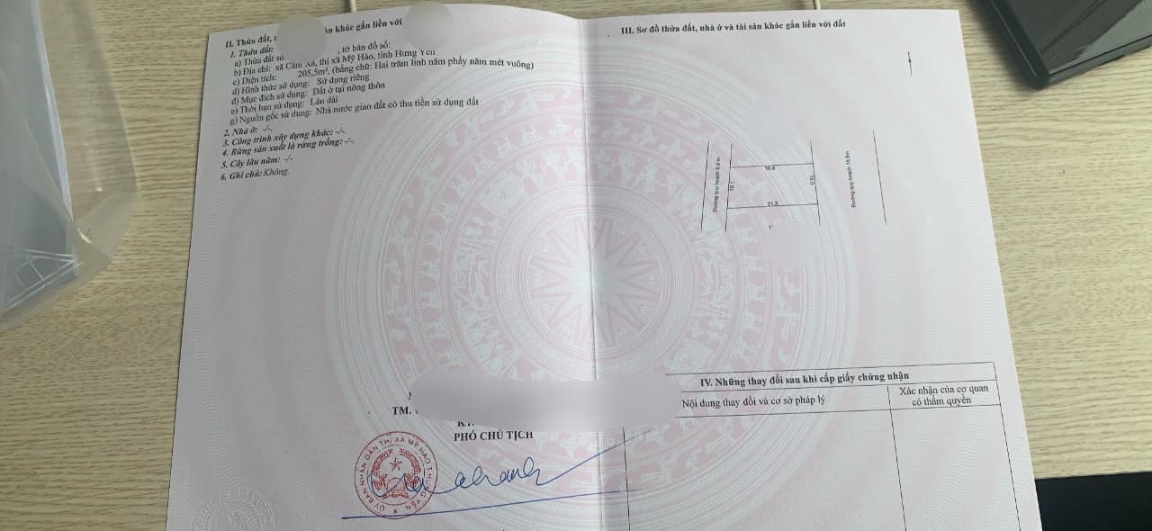 Đất đấu giá Cẩm Xá Mỹ Hào 205,5m² giá mềm - Cơ hội đầu tư sinh lời cao!