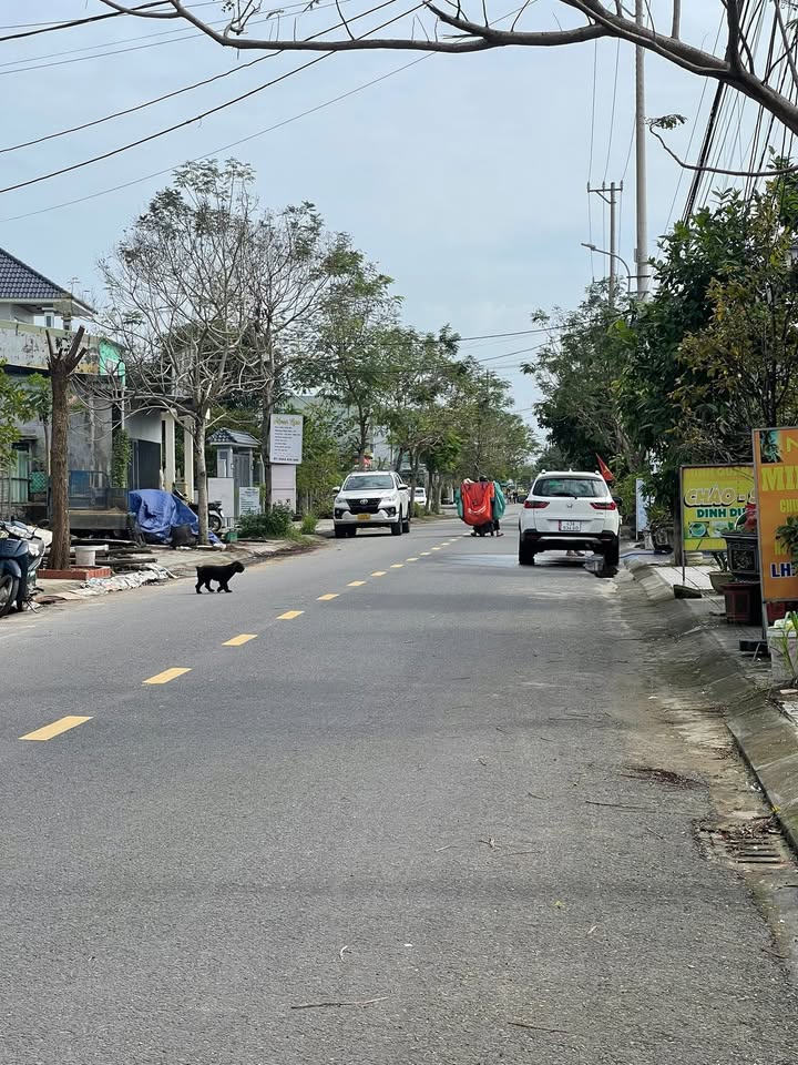 Đất nền mặt tiền Lưu Quang Vũ, Hòa Quý, Ngũ Hành Sơn 190m² - Cơ hội đầu tư tuyệt vời!