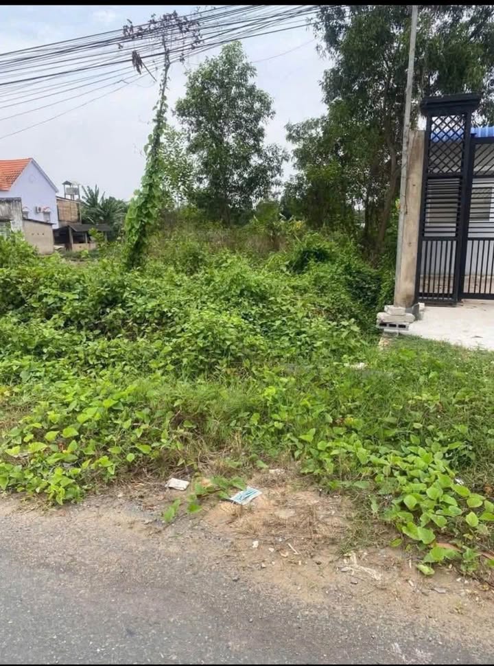 Bán đất mặt tiền đường Gia Miệng, xã Lương Hòa, Bến Lức - 990m² giá 5.7 tỷ - Đầu tư sinh lời ngay!