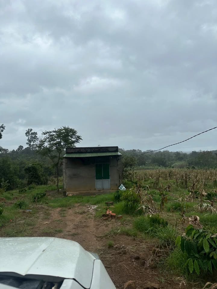 Đất rẫy Ea Nam 1.1ha giá 4.14 tỷ - Đầu tư sinh lời ngay!