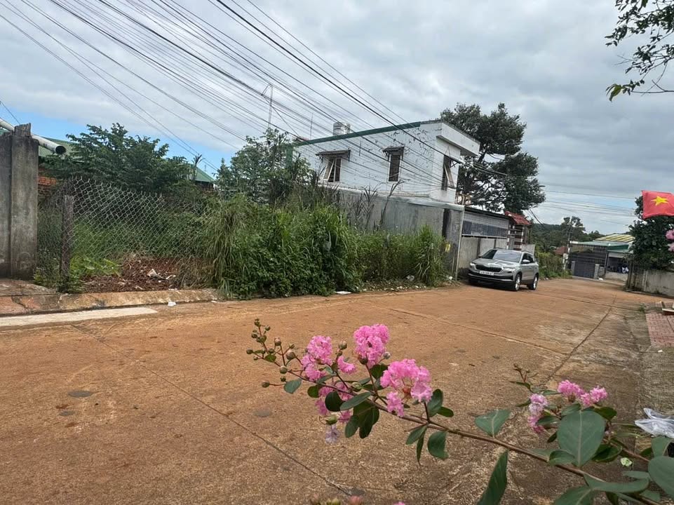 Đất nền hẻm 266 Nguyễn Chí Thanh, Tân An, 80m² giá 3.25 tỷ - Đầu tư sinh lời cao!