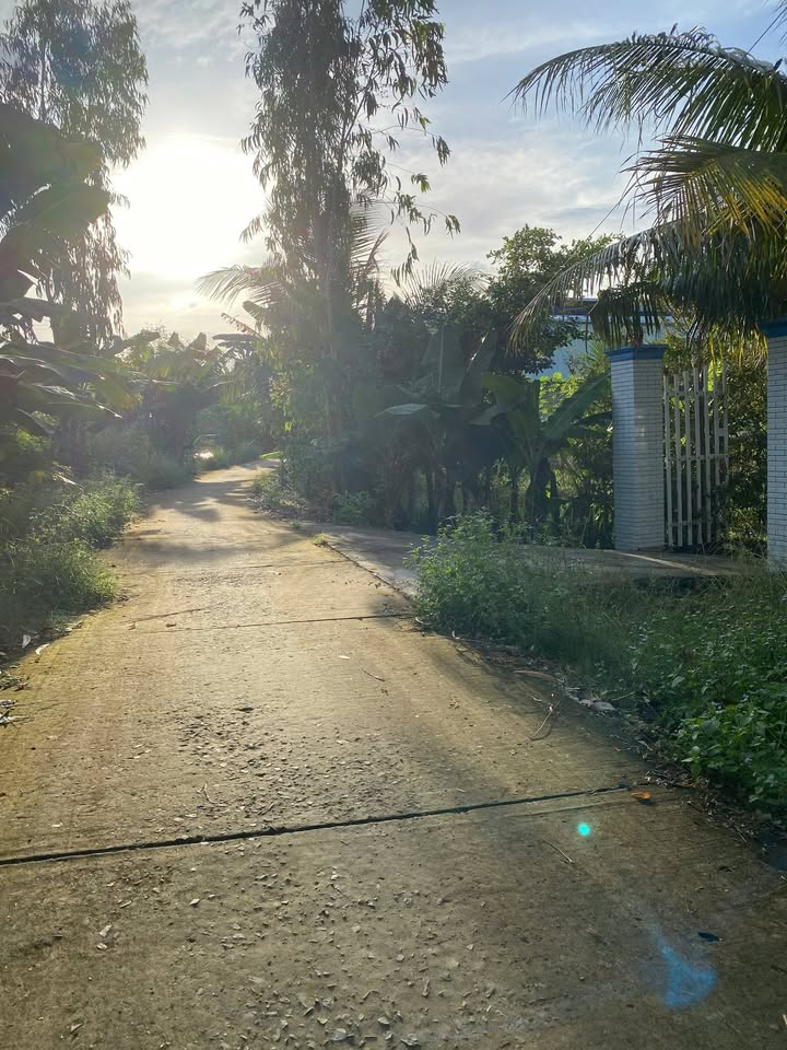 Bán gấp biệt thự vườn 2400m² tại Song Phú, Tam Bình - Giá chỉ 1 tỷ!