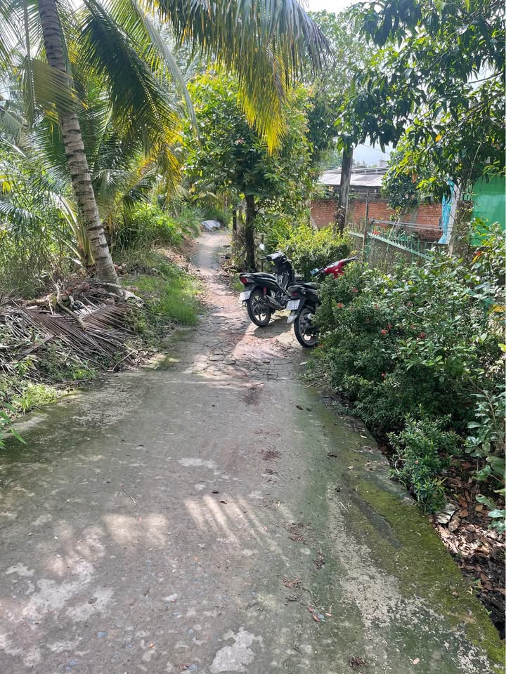 Đất thổ cư 1364m² tại Ô Môn, Cần Thơ - Mặt tiền 23m, Giá chỉ 3 triệu/m²!