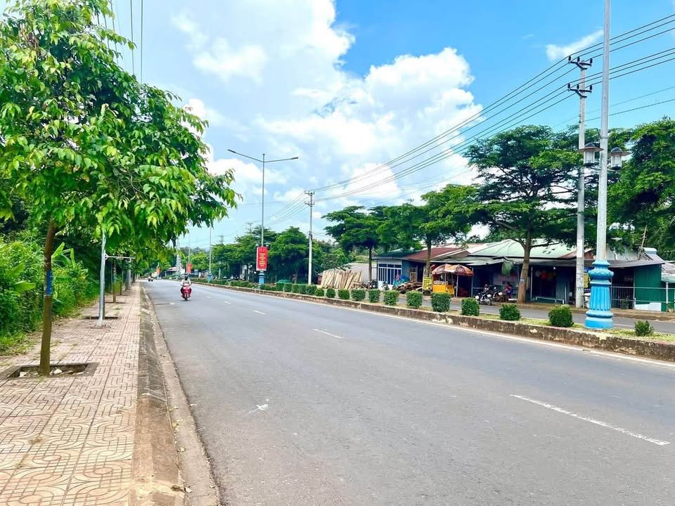 Đất nền 2,5 sào gần hồ Ông Giám, Buôn Ma Thuột - Chỉ 2,9 tỷ!