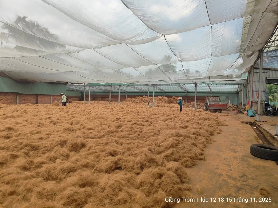 Nhà xưởng mặt tiền Huyện Lộ 10, Giồng Trôm 10.000m² - Đầu tư sinh lời ngay!