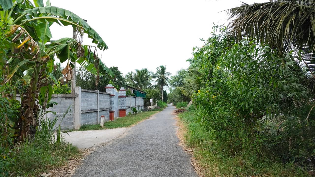 Đất trồng dừa 3,3 công tại Mỹ Nhơn, Ba Tri - Giá chỉ 792 triệu, cơ hội đầu tư tuyệt vời!