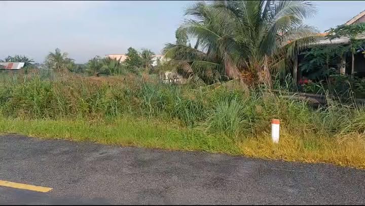 Đất nền Tỉnh lộ 881, Thạnh Phú 715m² - Đầu tư sinh lời ngay!