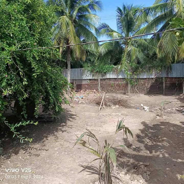 Đất nền 500m² An Phước, Châu Thành - Đầu tư vườn nghỉ dưỡng lý tưởng chỉ 450 triệu!