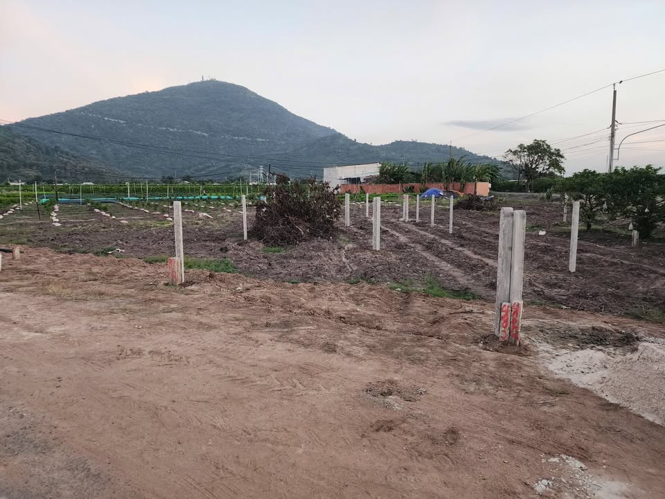 Đất liền kề 130m² phường Bình Minh, Tây Ninh - Sổ đỏ chính chủ, giá chỉ 329 triệu!