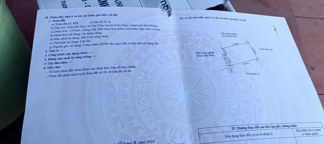 Đất nền 1500m² Tân Trào, Kiến Thụy - Đầu tư sinh lời với giá chỉ 3 tỷ