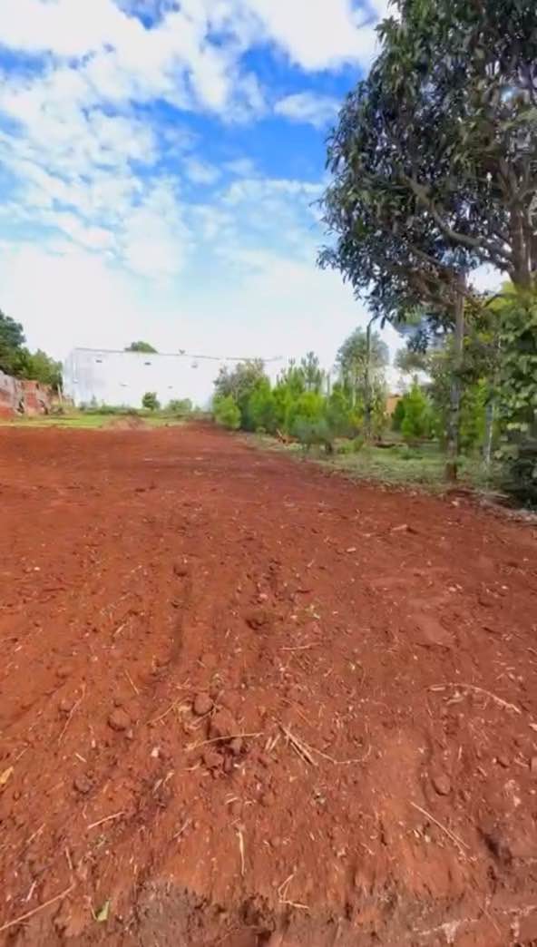 Đất nền Lý Nam Đế, P. Hội Phú, 136m² - Cơ hội đầu tư hấp dẫn!