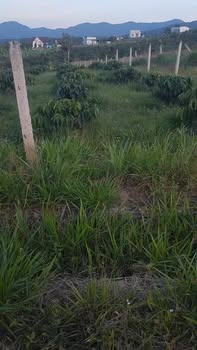 Đất nền Hòa Nam Di Linh 7560m² giá 1.25 tỷ - Đầu tư sinh lời ngay!